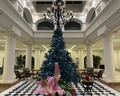 Pickalbatros Royal Grand Resort