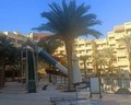 Eagles Down Town Zahabia Resort