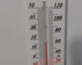 Mewa