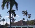 Casa Marina Reef