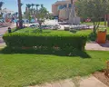 Nubian Island