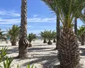 Atlantica Marmari Beach