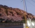 Leonardo (Durres)