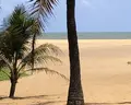 Goldi Sands