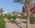 Long Beach Resort Hurghada