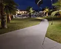 Exotica