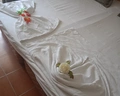 Roseira Beach Resort
