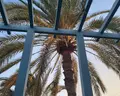 Sheraton Miramar Resort