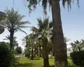 Dar Jerba Narjess