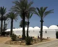 Dar Jerba Narjess