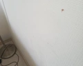 Asteria Collection Side