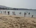 H10 Las Palmeras