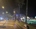 H10 Las Palmeras