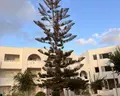 El Mouradi Djerba Menzel