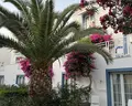Labranda TMT Bodrum Resort