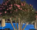 Labranda TMT Bodrum Resort