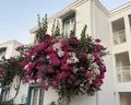 Labranda TMT Bodrum Resort