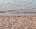 Palm Beach