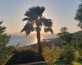Bodrum Holiday Resort