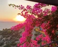 Bodrum Holiday Resort