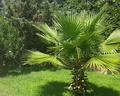 Bodrum Holiday Resort