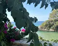 Utopia Beach Club