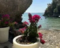 Utopia Beach Club