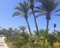 Djerba Sun Beach