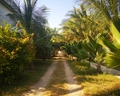 Jaz Adonia Beach Resort