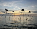 Best Western Premier Sonasea Phu Quoc