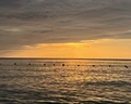 Best Western Premier Sonasea Phu Quoc