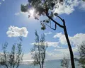 Park Beach