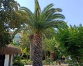 Atlantique Holiday Club