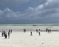Sbh Monica Zanzibar