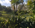 Parque Vacacional Eden
