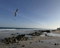 Fuerteventura Princess