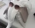 Pharaoh Azur Resort