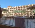 Sea Star Beau Rivage