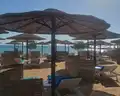 Sea Star Beau Rivage