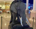 Palma Di Sharm Resort
