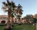 Ali Baba Palace