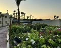 Grand Oasis Resort