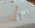 Desert Rose Resort