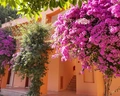Kustur Club Holiday Village