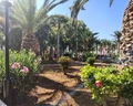 Sol by Melia Marina Beach