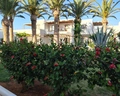 Sol by Melia Marina Beach