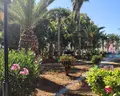 Sol by Melia Marina Beach