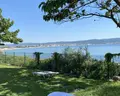 Festa Panorama