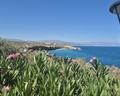Iberostar Creta Panorama