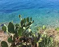 Corfu Aqua Nissaki 